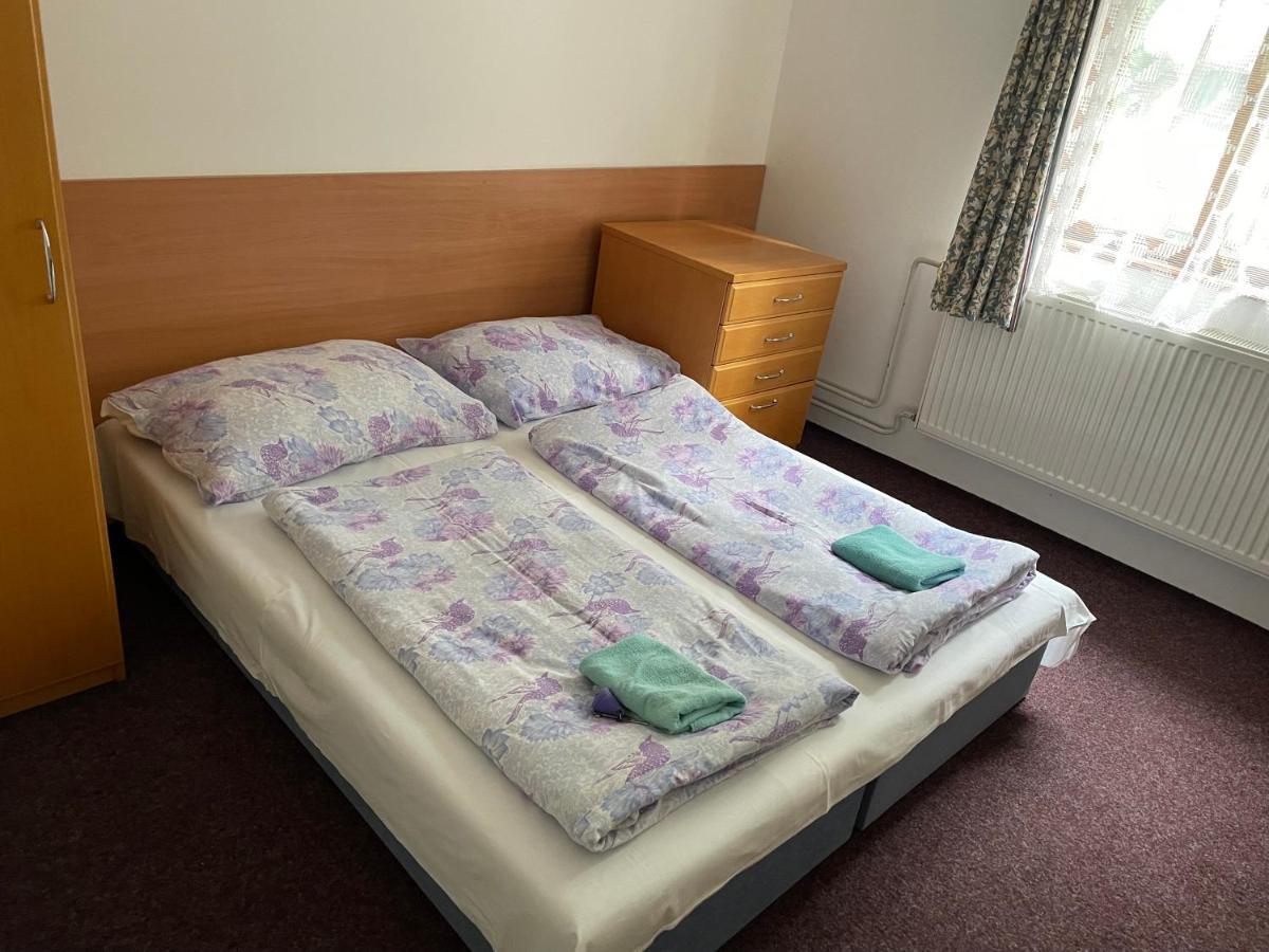 Penzion Na Srubech Hora Svate Kateriny Extérieur photo